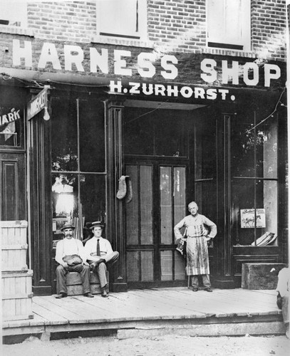 Harness shop in Tehama California
