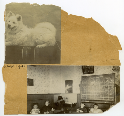 Students seated at desks in kindergarten classroom / Portrait of Samoyed dog