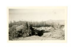 Big Pine, Farrington ranch, abandoned