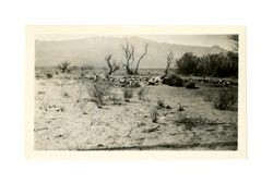 Big Pine, McCullough farm, abandoned