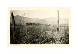 Big Pine, Roland McMurry farm, abandoned