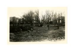 Big Pine, Delanah C. Thomas farm, abandoned