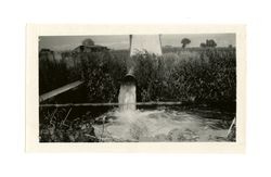 Owens Valley water pumping from well into ditch