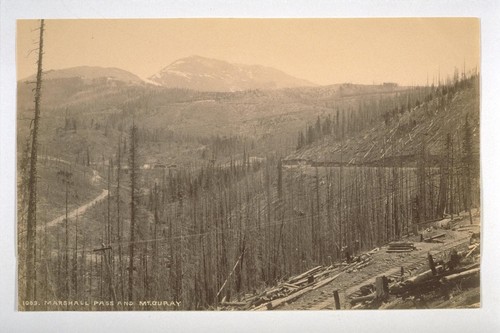 Marshall Pass and Mt. Ouray [Colorado]. 1009