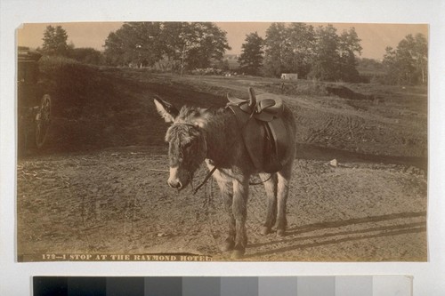 I stop at the Raymond Hotel. "A Raymond Donkey." 172