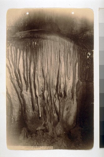 [Illegible]... Organ, Manitou Grand Caverns [Colorado]