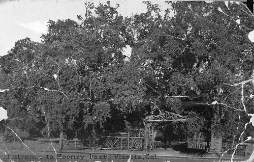 Mooney Grove County Park, Visalia, Calif