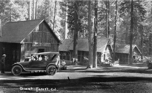 Giant Forest Post Office, Sequoia National Park, Calif