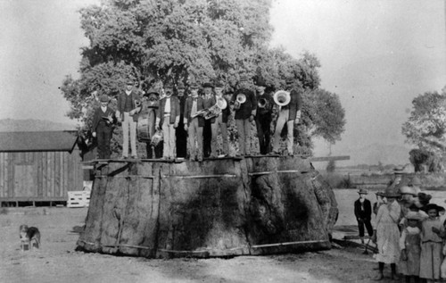 The Van Doorman Stump, Porterville, Calif., 1895