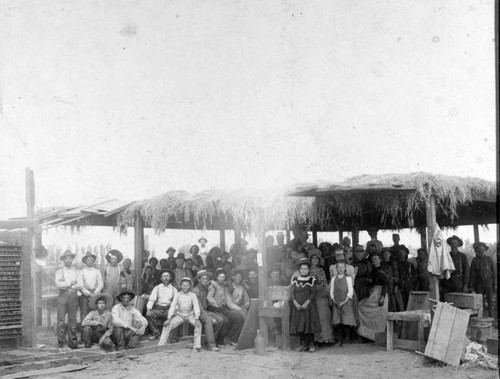 James N. Patterson Fruit Shed and Crew, Dinuba, Calif., 1906