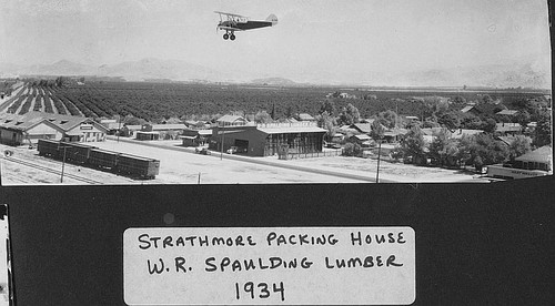 Businesses in Strathmore, Calif., 1934