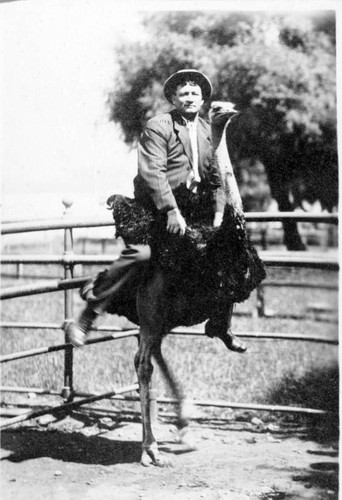 Alfred Worthley on an Ostrich, ca 1915