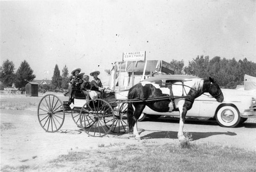 "Rodeo Parade, Woodlake, Calif., ""Courting Buggy"""