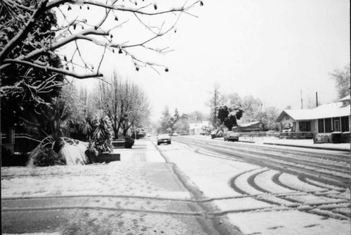 Snow in Visalia, Calif., 1999