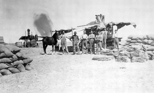 Stationary Thresher, Late 1800s, Dinuba, Calif