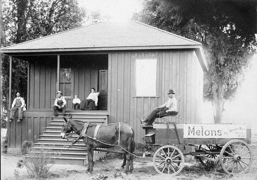 Moore Brothers' Melons, Visalia, Calif., 1902