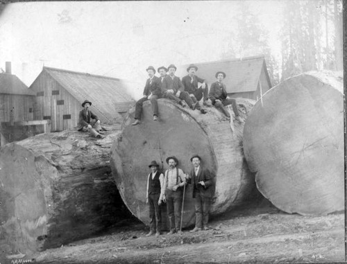 """Loggers"" at Millwood, Tulare County, Calif."
