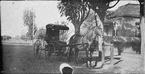 Horse and Buggy, Visalia, Calif., ca 1900