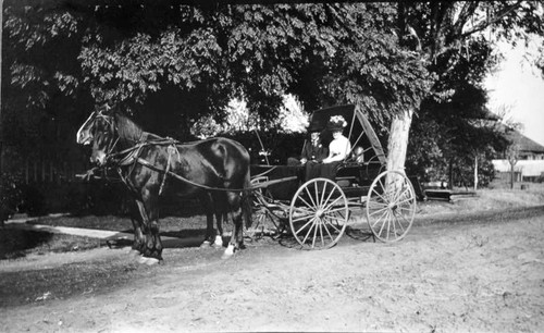John R. and Mary Ann Reed, Orosi, Calif., 1910