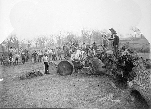 Log Cutting Contest, Tulare, Calif., 1880s