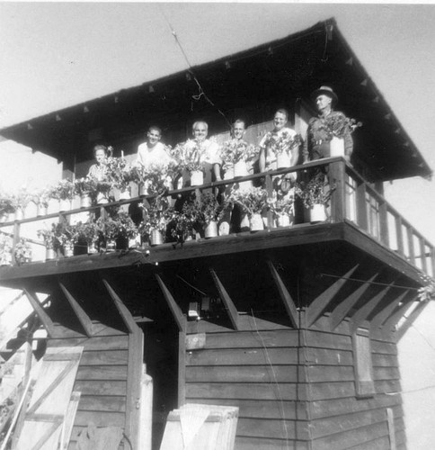 Milk Ranch Peak Lookout, Sequoia National Forest, Tulare County, Calif