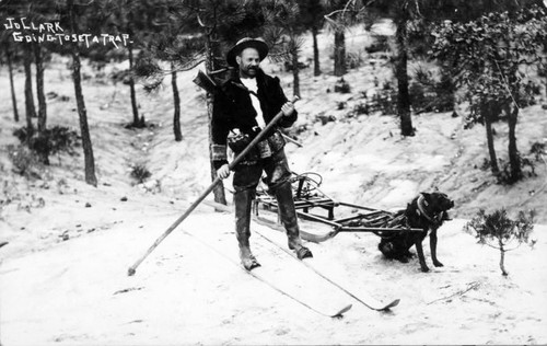 High Sierra Trapping, Sequoia National Park, Calif., ca 1910