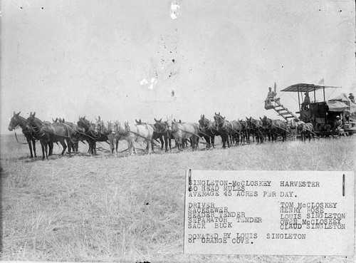 Singleton-McCloskey Harvester, Tulare County, Calif