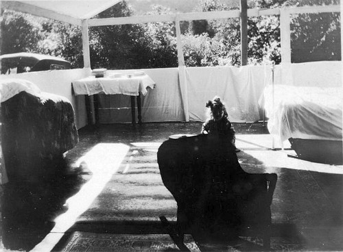 Tent Cabin at Hospital Rock, Highway 198 Construction, Sequoia National Park, Calif