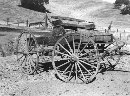 Mehrten Buckboard, Tulare County, Calif