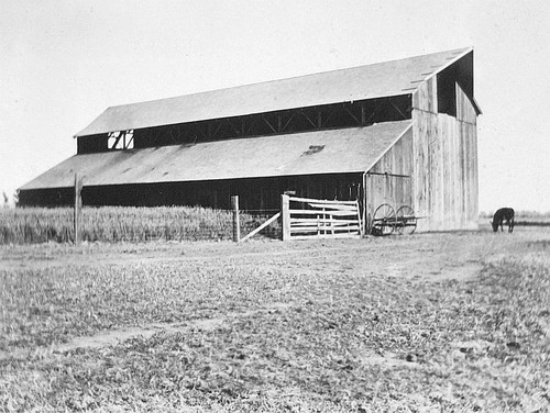 Barn, Visalia, Calif., Early 1900s