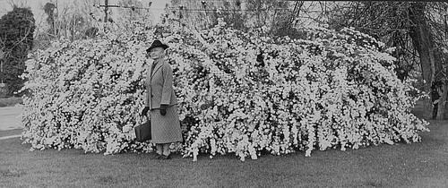 Katie Everett, Tulare, Calif., ca 1930