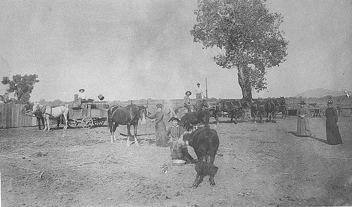 M. J. Wilson Ranch, Porterville, Calif., 1891