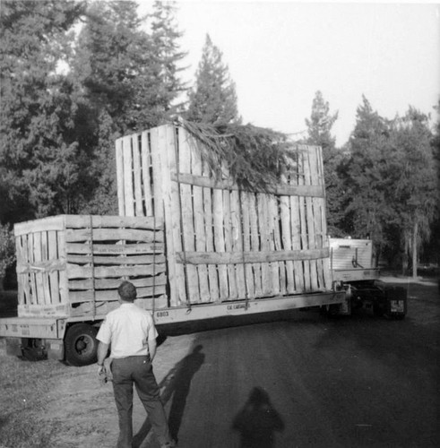 "Mooney Grove Park, Arrival of ""End of the Trail Statue,"" Visalia, Calif."