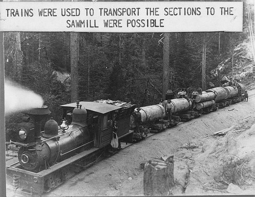 Logging Train, Sequoia National Park, Calif., Late 1800s