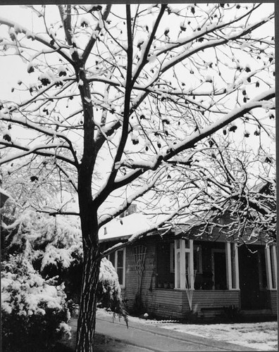 Snow Storm, Visalia, Calif., 1999