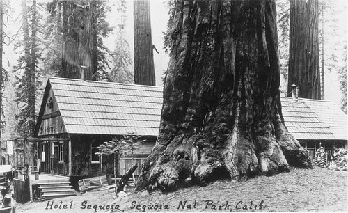 Hotel Sequoia, Sequoia National Park, Calif