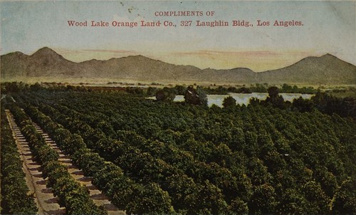 Woodlake Orange Land Co, Woodlake, Calif