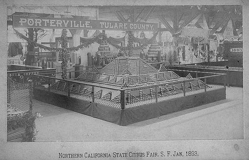 Northern California Citrus Fair, San Francisco, 1893