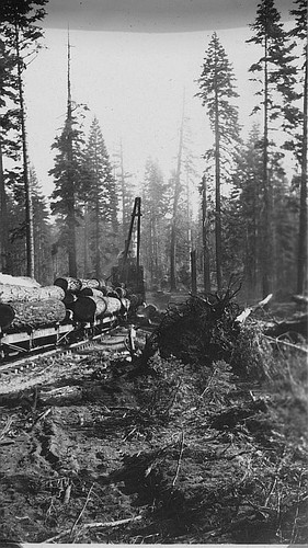 Logging Train, Sierra Nevadas, Tulare County, Calif., 1925