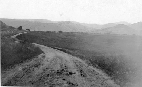 Rural Scene, Woodlake, Calif., Early 1900s