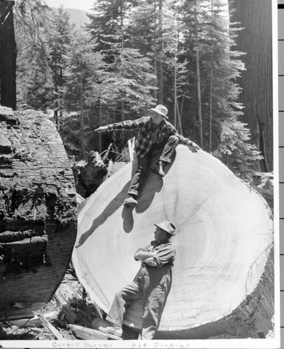 "Carroll Barnes, Sculptor, Begins ""COS Giant,"" Visalia, Calif., 1950s"