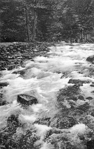 Kaweah River, Tulare County, Calif., 1908