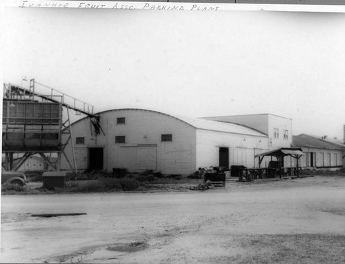 Fruit Packing Plant, Ivanhoe, Calif., 1940s