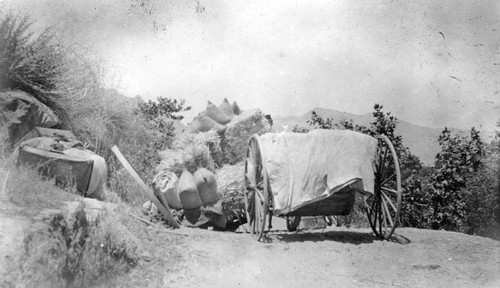 Hauling Accident, Woodlake, Calif., 1920s