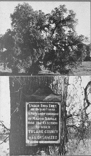 Charter Oak, Founding Site of Tulare County, Calif., 1852