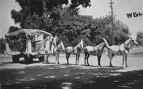 4th of July Parade Float, Porterville, Calif., 1903