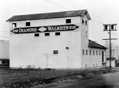 Diamond Walnuts, North Hollywood, 1920