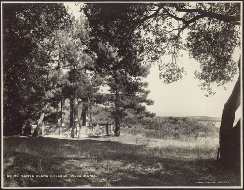 Gazebo in the Villa Maria orchards