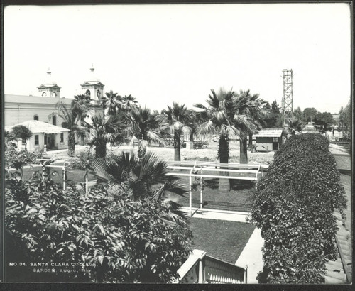 The garden from above