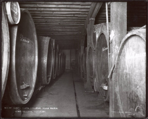 Wine cellars